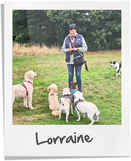 ALL-BREEDS-ON-LEADS-LORRAINE5