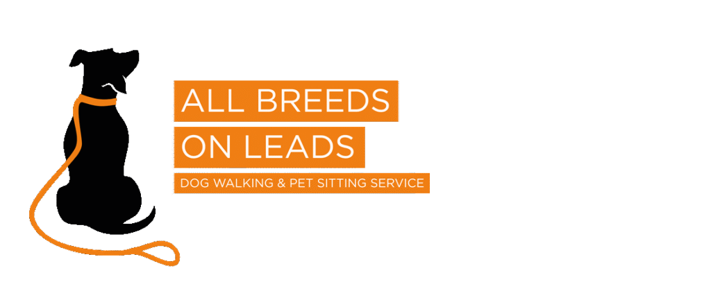 All-Breeds-On-Leads-BBACKGROUND